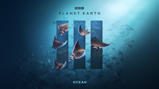 bbc planet earth book